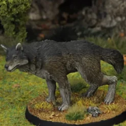 7TV - Dire Wolf A