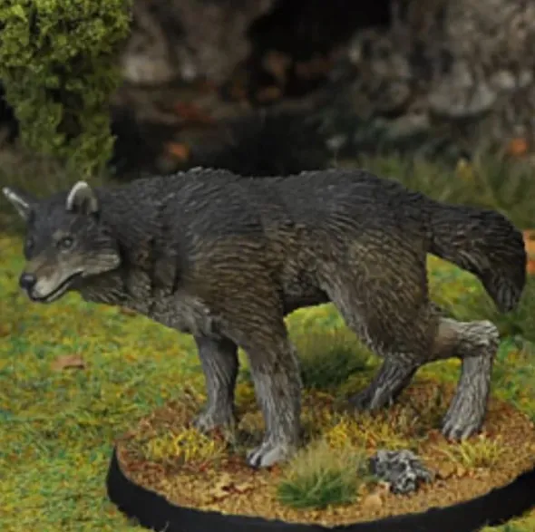 7TV - Dire Wolf A
