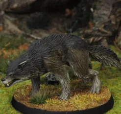 7TV - Dire Wolf B