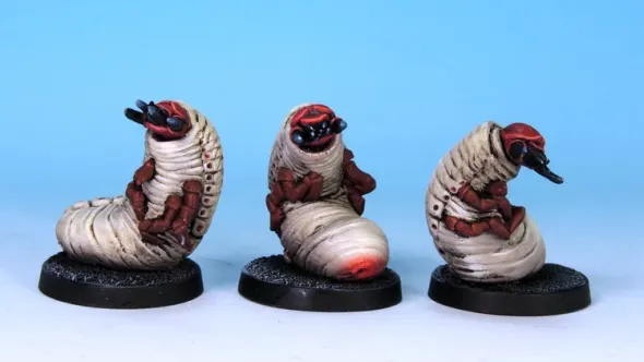 7TV - Giant Maggots