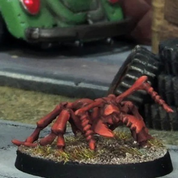 7TV - Soldier Ants