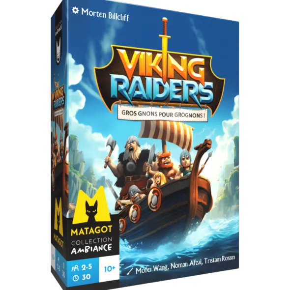 Viking Raiders