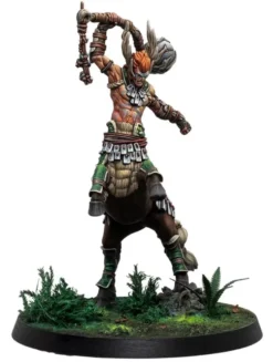 Warcrow - Sÿenann - Eachann, the Great Centaurelfe