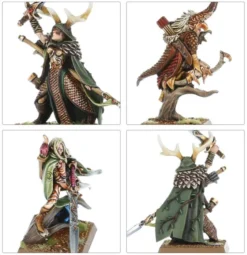 Warhammer - The Old World : Royaume des Elfes Sylvains - Nobles Elfes Sylvains