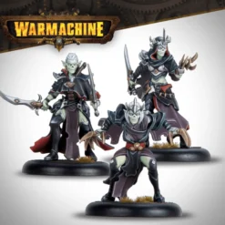 Warmachine - Dusk Fane of Nyrro Army Box – Death’s Whisper
