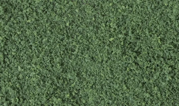 Woodland Scenics - Flocage Épais en Sachet Dark Green